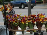 DSC 0002a