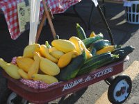 DSC 0050