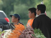 DSC 0051