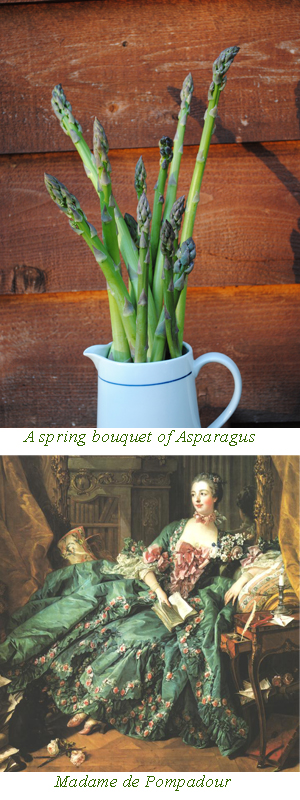 asparagus